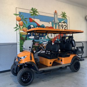 2025 Elite EV 6S