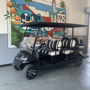 2025 Icon I60