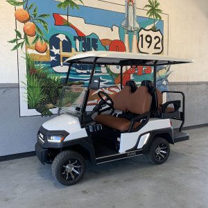 2025 Pure P40
