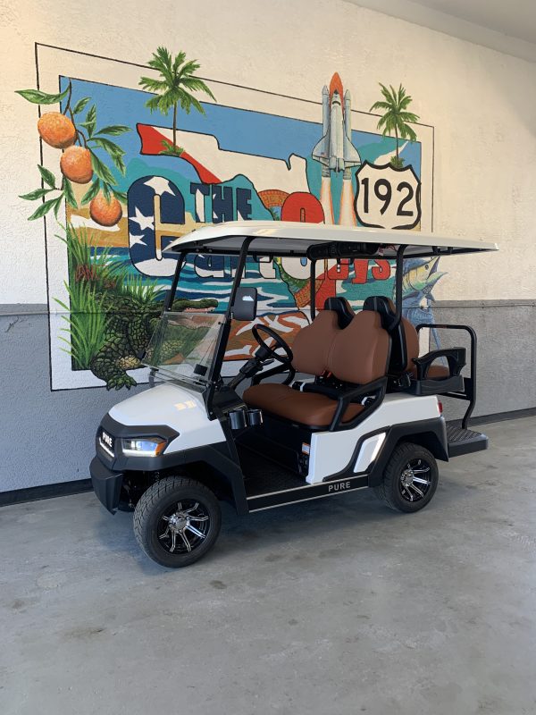 2025 Pure P40