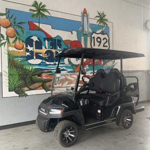2025 Pure P40