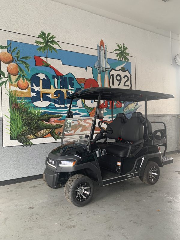 2025 Icon PURE P40