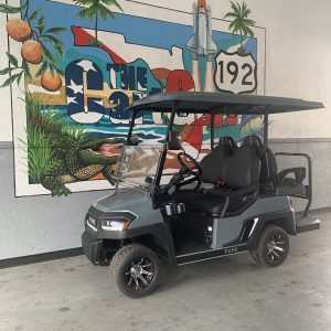 2025 Pure P40
