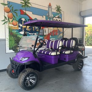 2024 Icon I60L