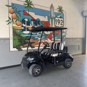 2024 ICON C20S