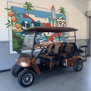 2015 Star EV Classic 4+2