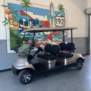 2021 Advanced EV Forward 4