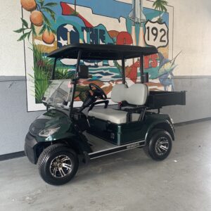 2024 Advanced EV Advent 2P