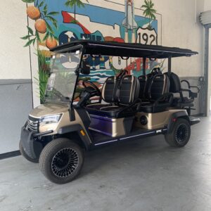 2026 EPIC E60FX