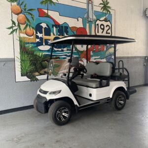 2024 Advanced EV Advent 4P