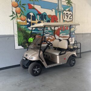 2010 Star EV 2+2